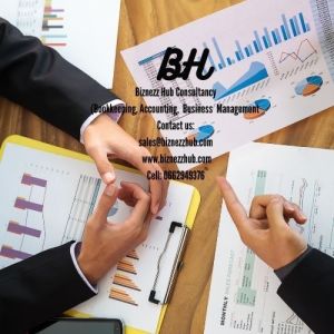 Logo: Biznezz Hub Consultancy 
Bookkeeping, Accounting, Business management